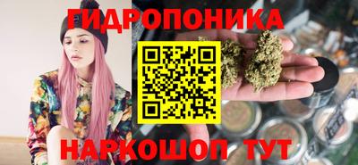 spice Кунгур