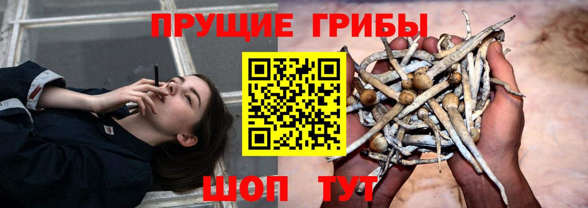 Псилоцибиновые грибы MAGIC MUSHROOMS Дедовск