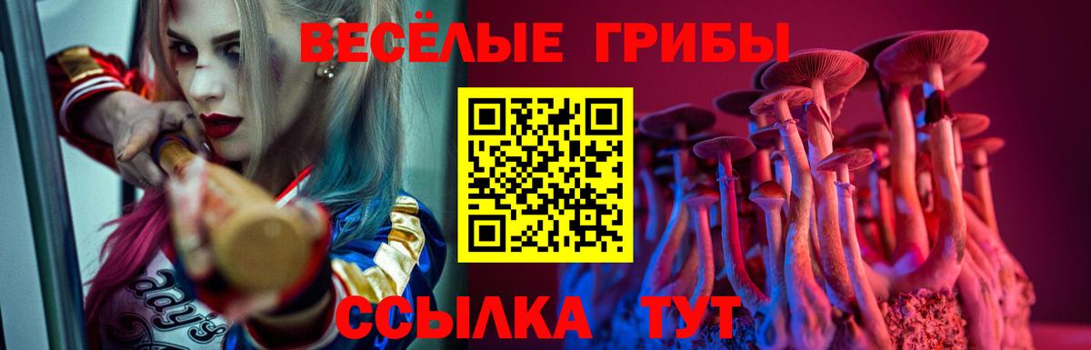 Галлюциногенные грибы GOLDEN TEACHER  Вход с VPN  Дедовск 